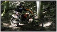 Martin Faltus